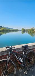 Bicicletta MTB 29"