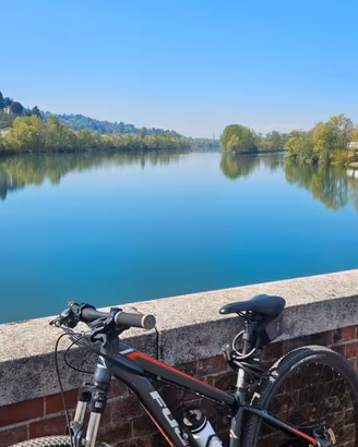 Bicicletta MTB 29"