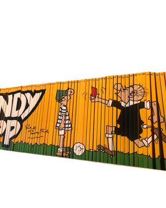 IL MONDO DI ANDY CAPP fumetti