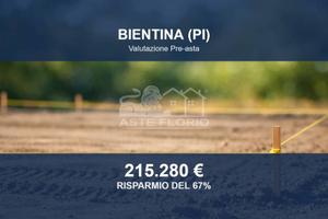 Immobile in asta di 11700 m² a Bientina