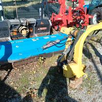 TRINCIA ARGINI ZANON