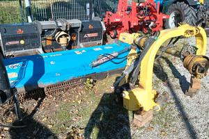 TRINCIA ARGINI ZANON