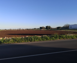 Terreno seminativo Uliveto