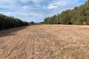 Terreno agricolo Monastir San Sperate
