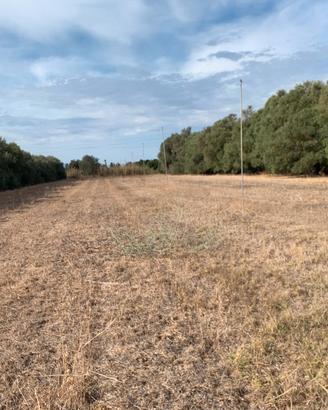 Terreno agricolo Monastir San Sperate
