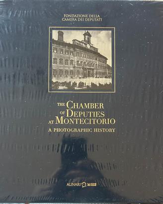 The Chamber of Deputies at Montecitorio.