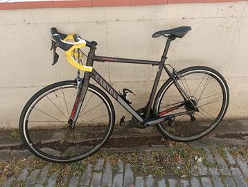 Canyon Endurace