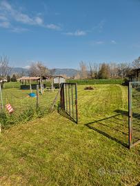 Terreno attrezzato 1000 mq a Borgo a Buggiano