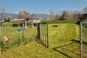 Terreno attrezzato 1000 mq a Borgo a Buggiano