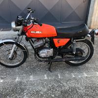Malanca 125