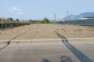 Terreno agricolo 1304m²