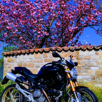 Ducati Monster 1100 S