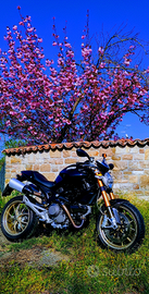 Ducati Monster 1100 S