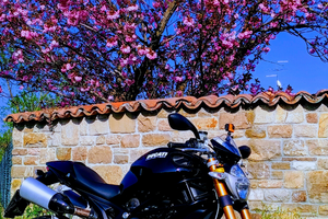 Ducati Monster 1100 S