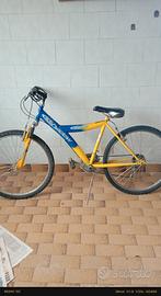 bici MTB 