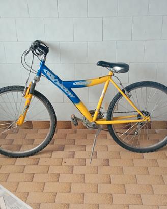bici MTB 