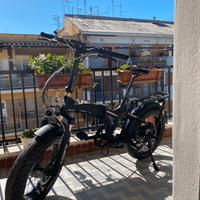 Bicicletta elettrica a pedalata assistita