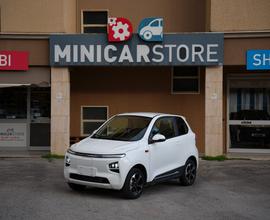 DESNER AUTO P300