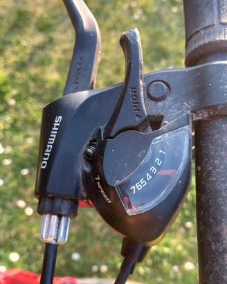 Mountain bike, cambio Shimano, marca Frera.