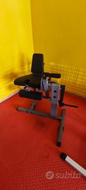 leg extension 