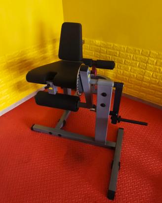 leg extension 