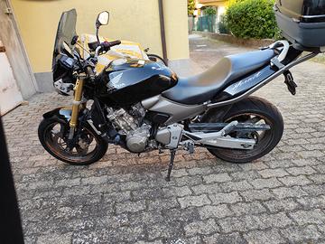 hornet 600 2006