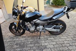 hornet 600 2006