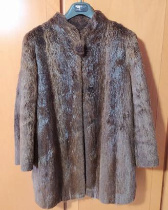Pelliccia di nutria (castorino)