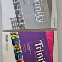 Corso Inglese Trinity livello B2 GESE Grades 7-9