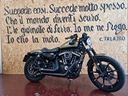 harley-davidson-883-n-iron