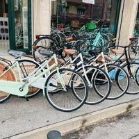 Bici Olanda nuove