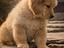 Immagine 5