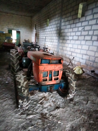 Trattore agricolo minitauro 60 frutteto