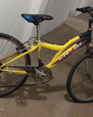 Bici ragazzo