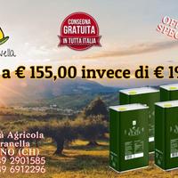 Olio extra vergine d ioliva raccolta 2024/2025