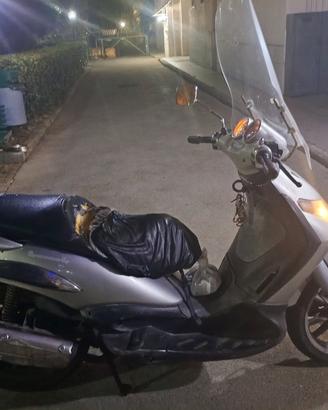 piaggio beverly