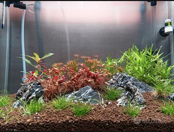 Chihiros WRGB2 Pro 45