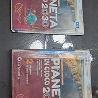 libro pianeta in gioco 2030 isbn:9788835054825