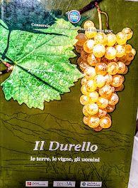 Il Durello, le terre le vigne gli uomini