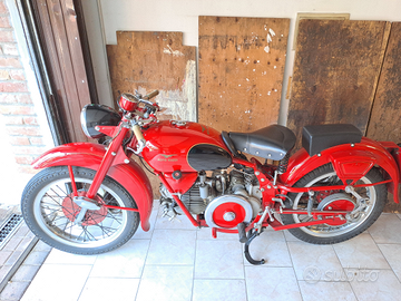 Moto Guzzi 500 Falconi da vetrina