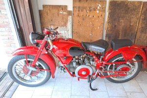 Moto Guzzi 500 Falconi da vetrina