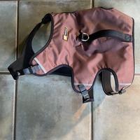 Pettorina sostegno cane