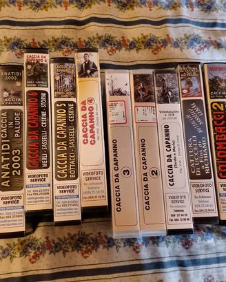 videocassette caccia alla BECCACCIA