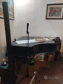 Pianoforte Leipzig