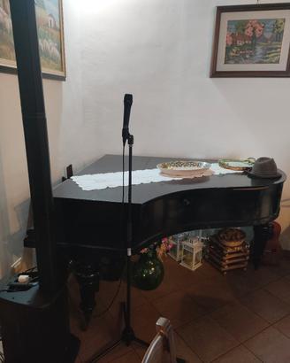 Pianoforte Leipzig