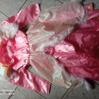 vestito Carnevale Principessa Damigella 