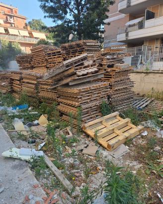 Bancali di legno gratuiti