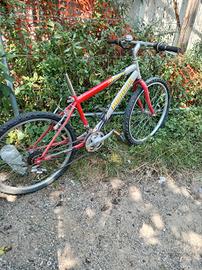 bici varie