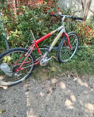 bici varie