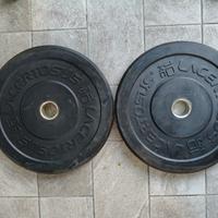 Dischi bumper palestra